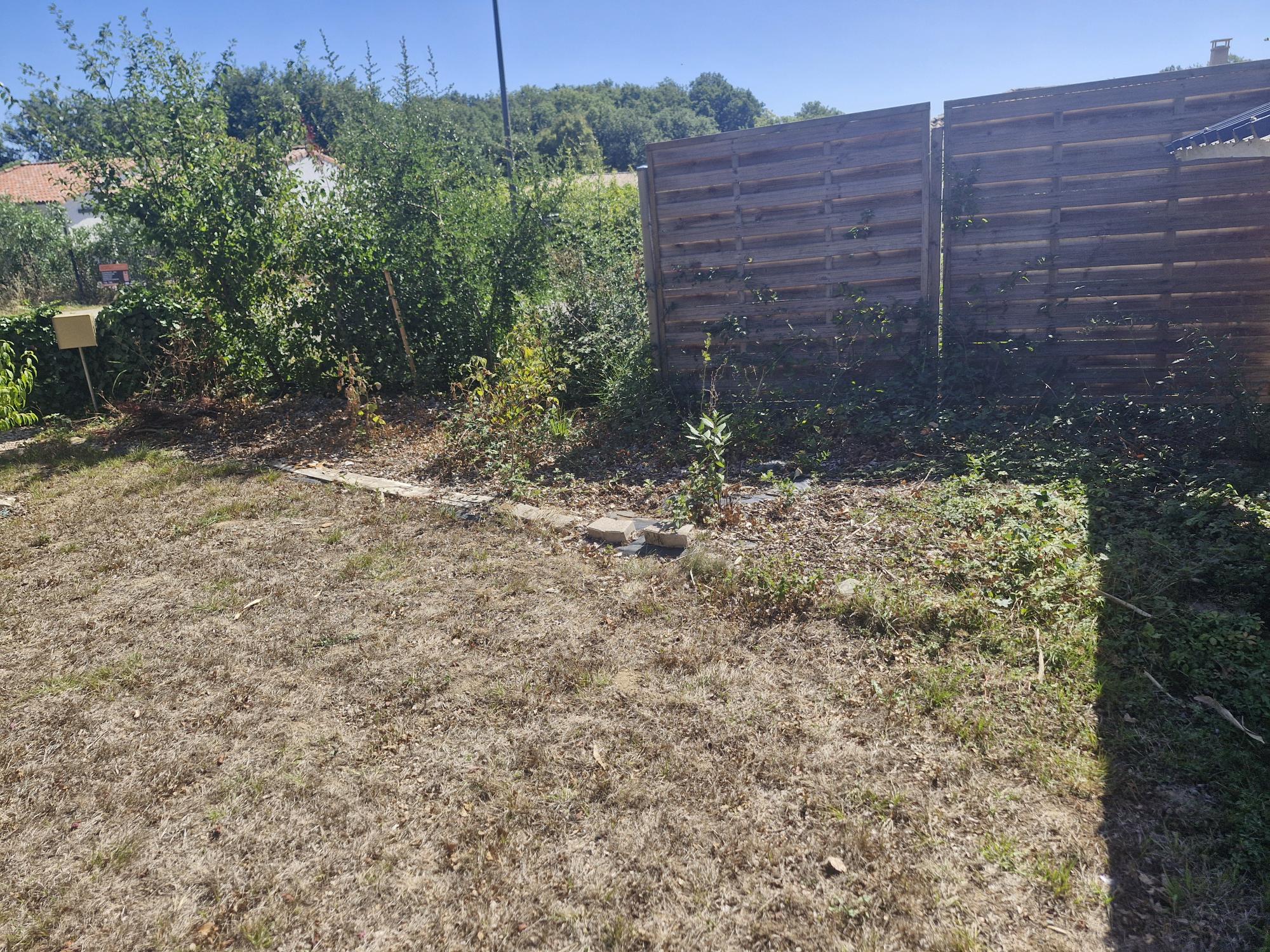 Jardin estival clôturé avec pelouse sèche et jeunes arbustes entretenus par lj paysagiste à Gimont