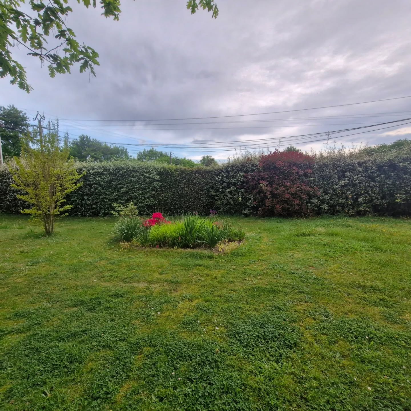 Jardin paysagé verdoyant avec chaise rouge au centre, haies et arbustes soignés par lj à Gimont