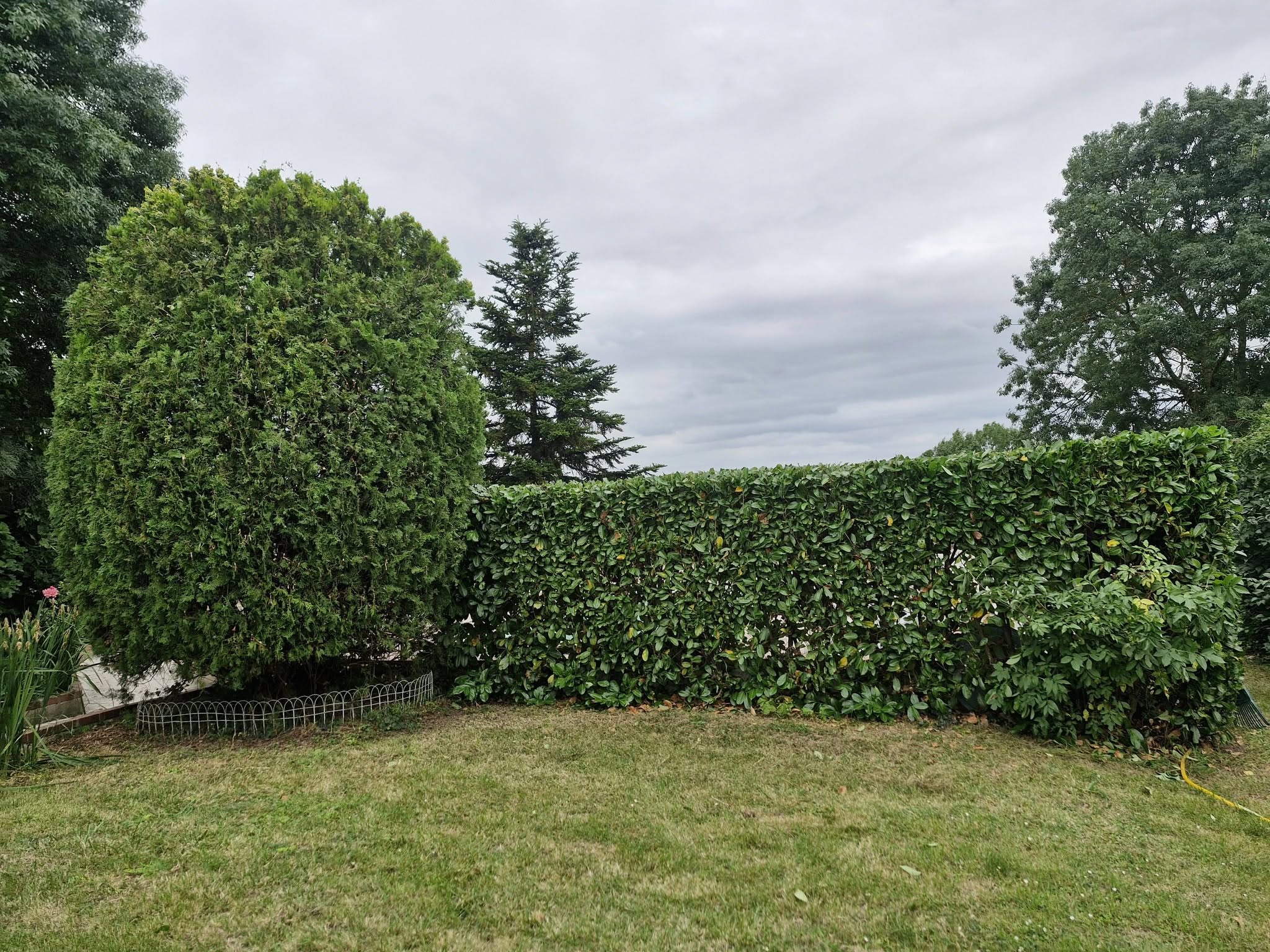 Jardin paysagé avec haie taillée et arbuste sphérique, entretien espace vert lj à gimont