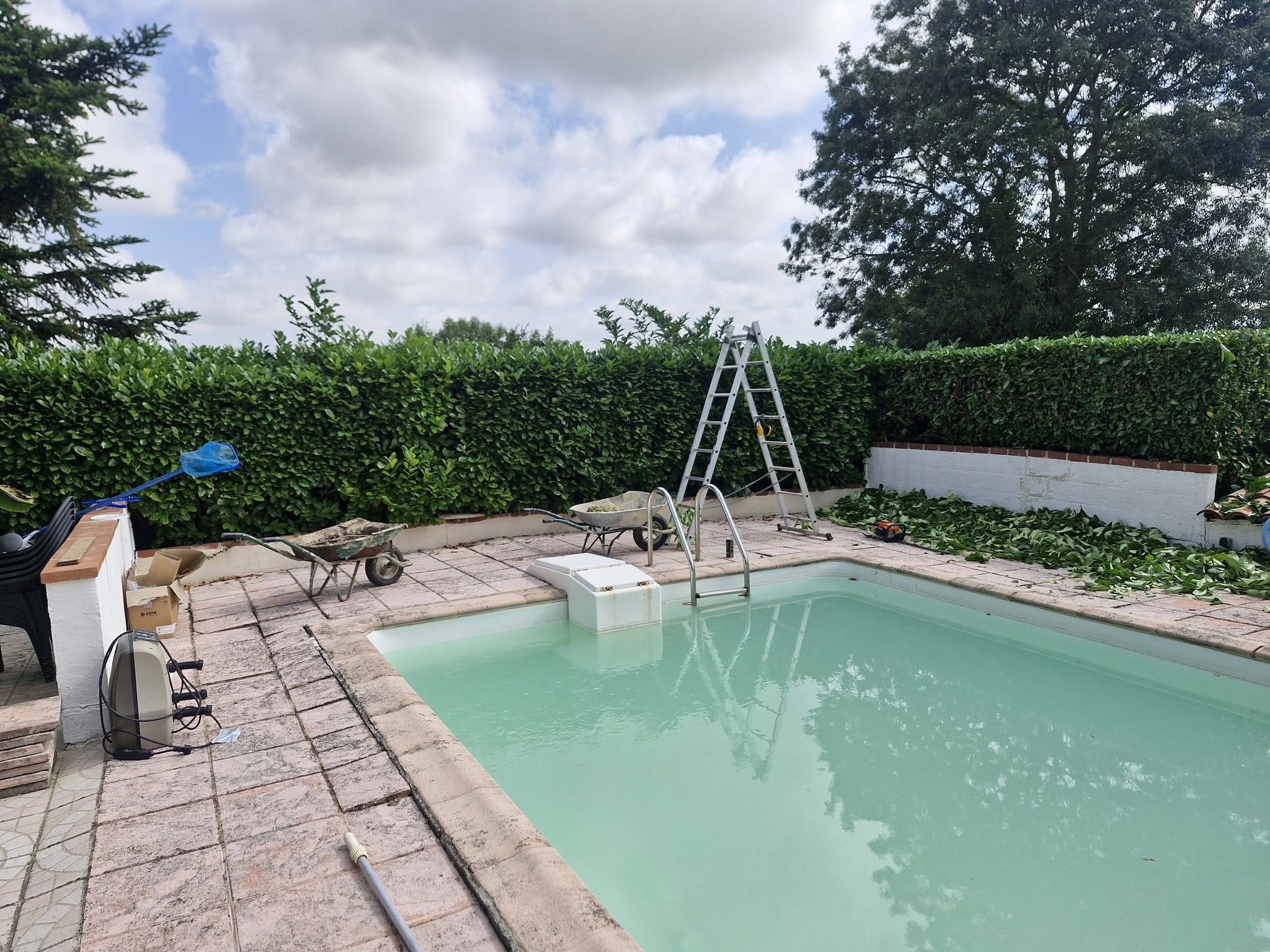 entretien de haie autour d’une piscine par lj, jardin paysager résidentiel à gimont
