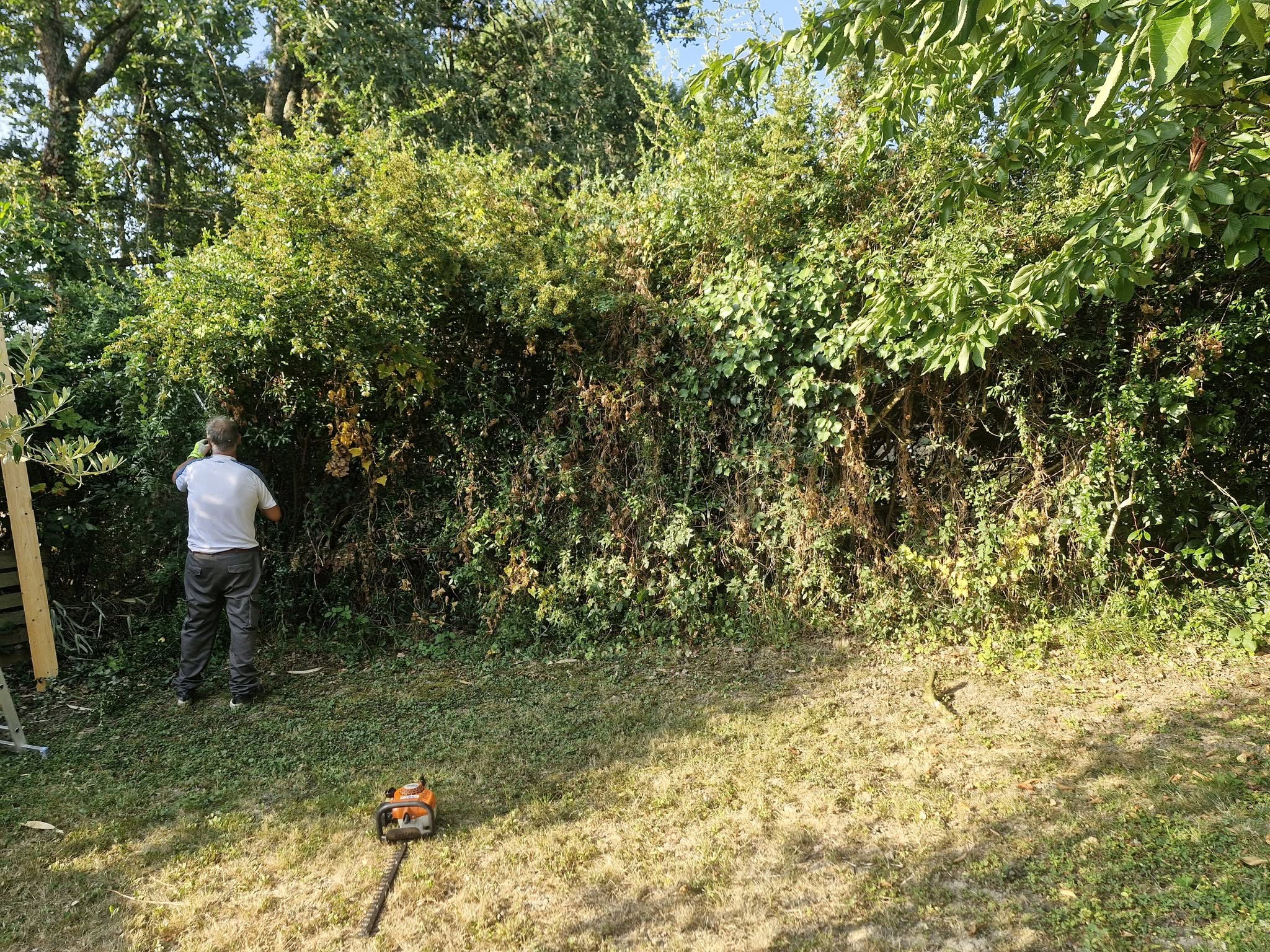 Taille de haie par lj dans un jardin verdoyant à gimont, taille-haie orange posé sur la pelouse
