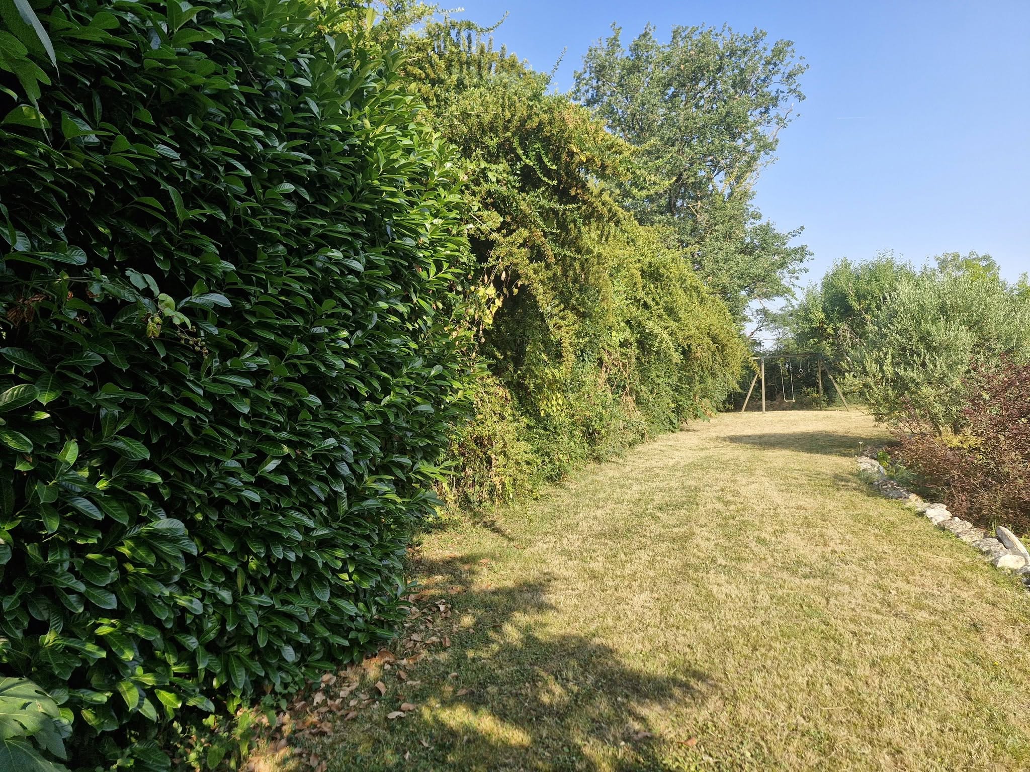 Jardin privé avec balançoire bois et haies, aménagement paysager lj à gimont sous ciel bleu